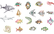 Sea Fish Drawings Dwg Download